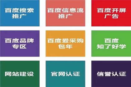 案例深度解析：SEM搜索引擎优化关键步骤